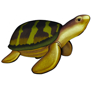 海洋插图素材