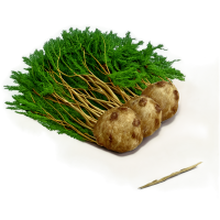农村插画素材
