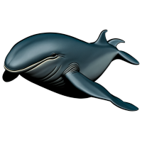 海洋生物插画素材