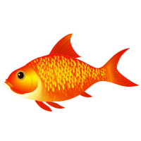 金鱼插画素材