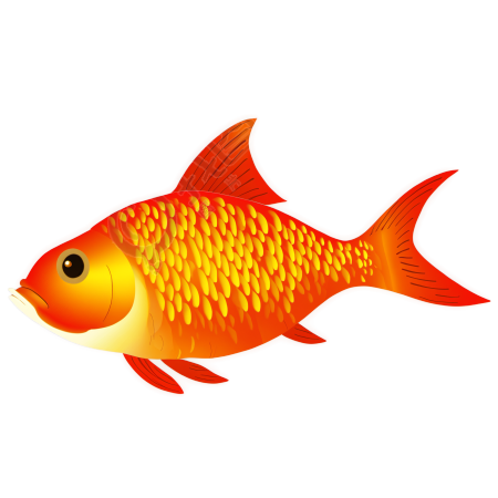 金鱼插画素材