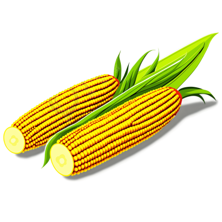 玉米插画素材