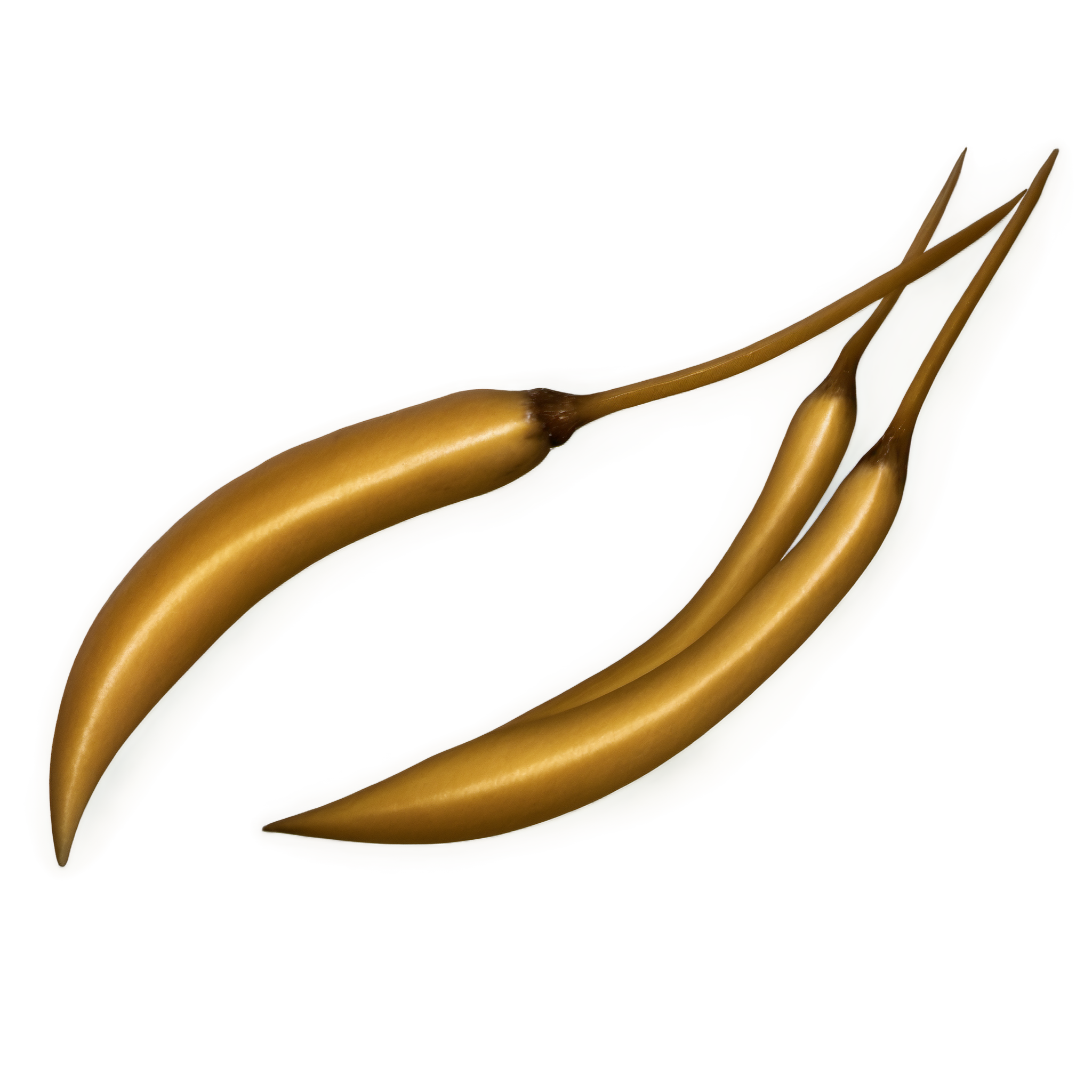 对联插画素材