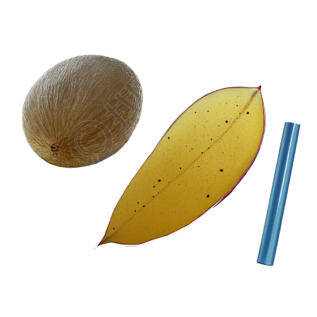 沙滩插图素材