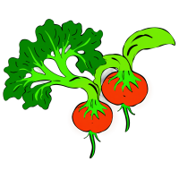 可爱蔬菜插画素材