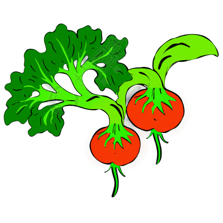 可爱蔬菜插画素材