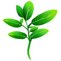 绿色植物插图素材
