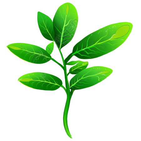 绿色植物插图素材