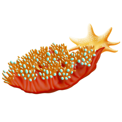 珊瑚插画素材