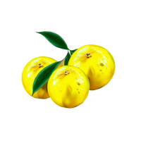 Yuzu插图素材