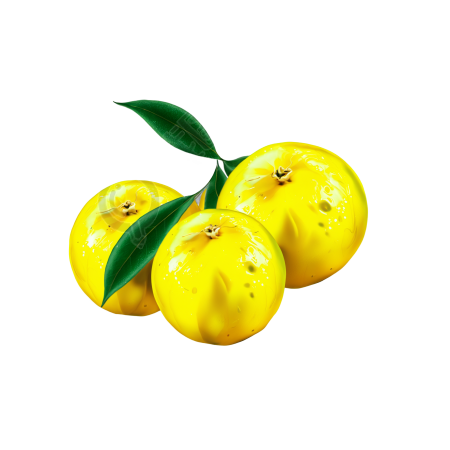 Yuzu插图素材