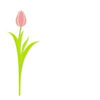 郁金香插画素材