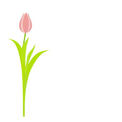 郁金香插画素材