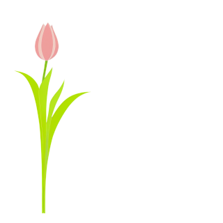 郁金香插画素材