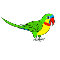 鹦鹉插画素材