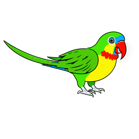 鹦鹉插画素材