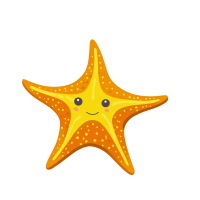 星鱼插画图片素材