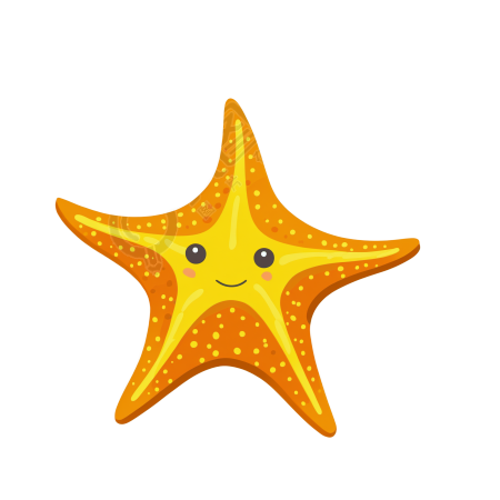星鱼插画图片素材