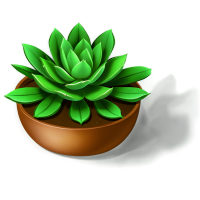 多肉植物插画素材