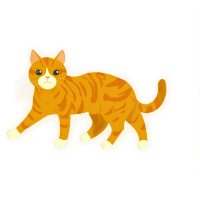 橙色猫咪插画素材