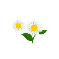可爱的菊花插图素材