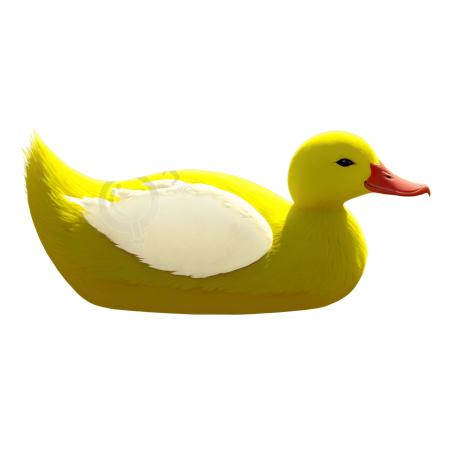 丑小鸭插图素材