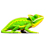 变色龙插画设计