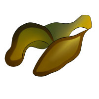 插画PNG素材