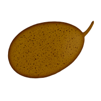手绘插图设计元素