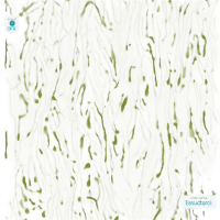 插画素材下载