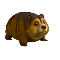 推荐PNG插画素材