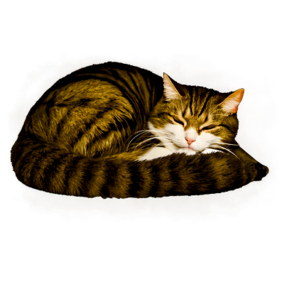 卡通猫咪睡觉素材