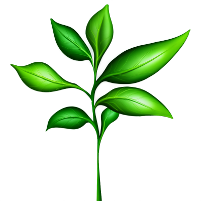 绿色植物香料无缝图案透明背景素材