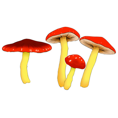 红菇透明背景的绘画素材