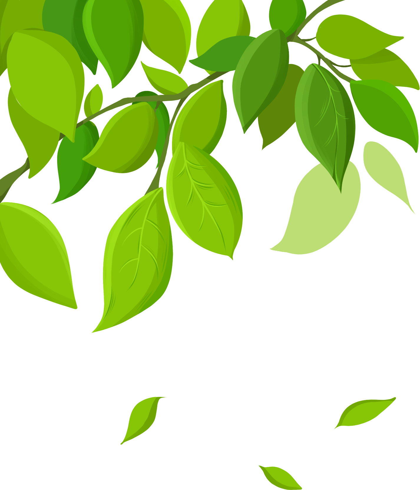 树叶图片素材画画怎样画？