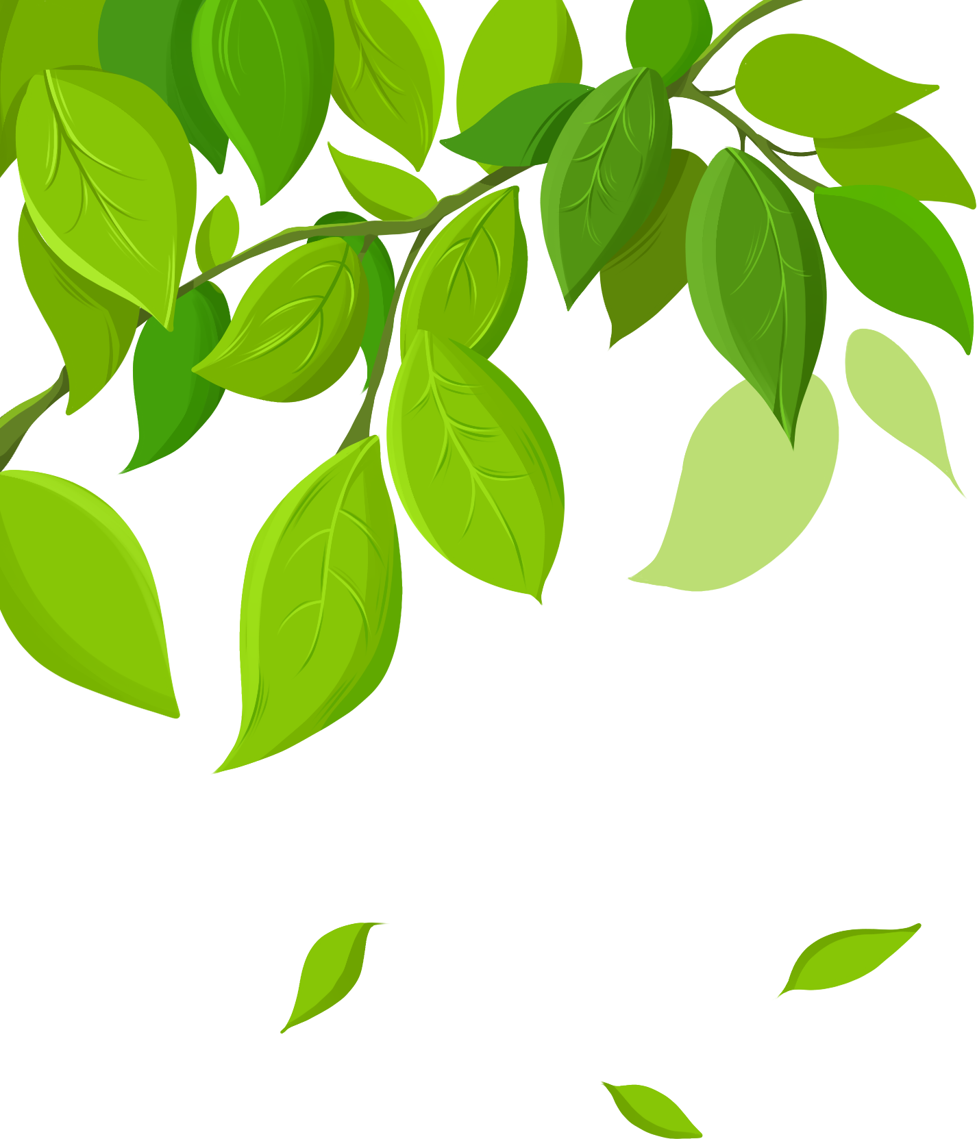 树叶图片素材画画怎样画？