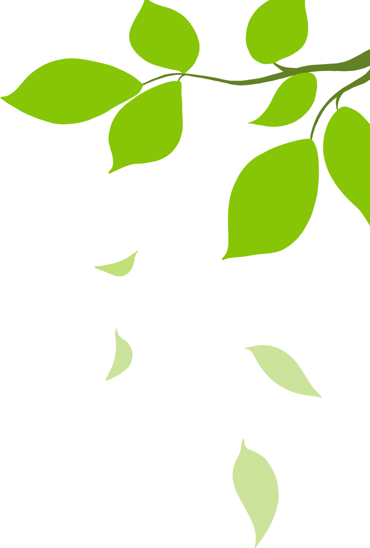 树枝图片素材免费下载制作技巧!