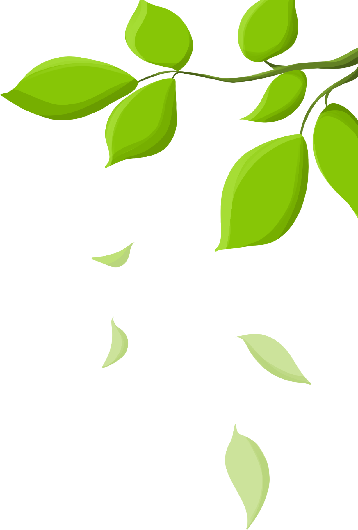 树枝图片素材免费下载制作技巧!