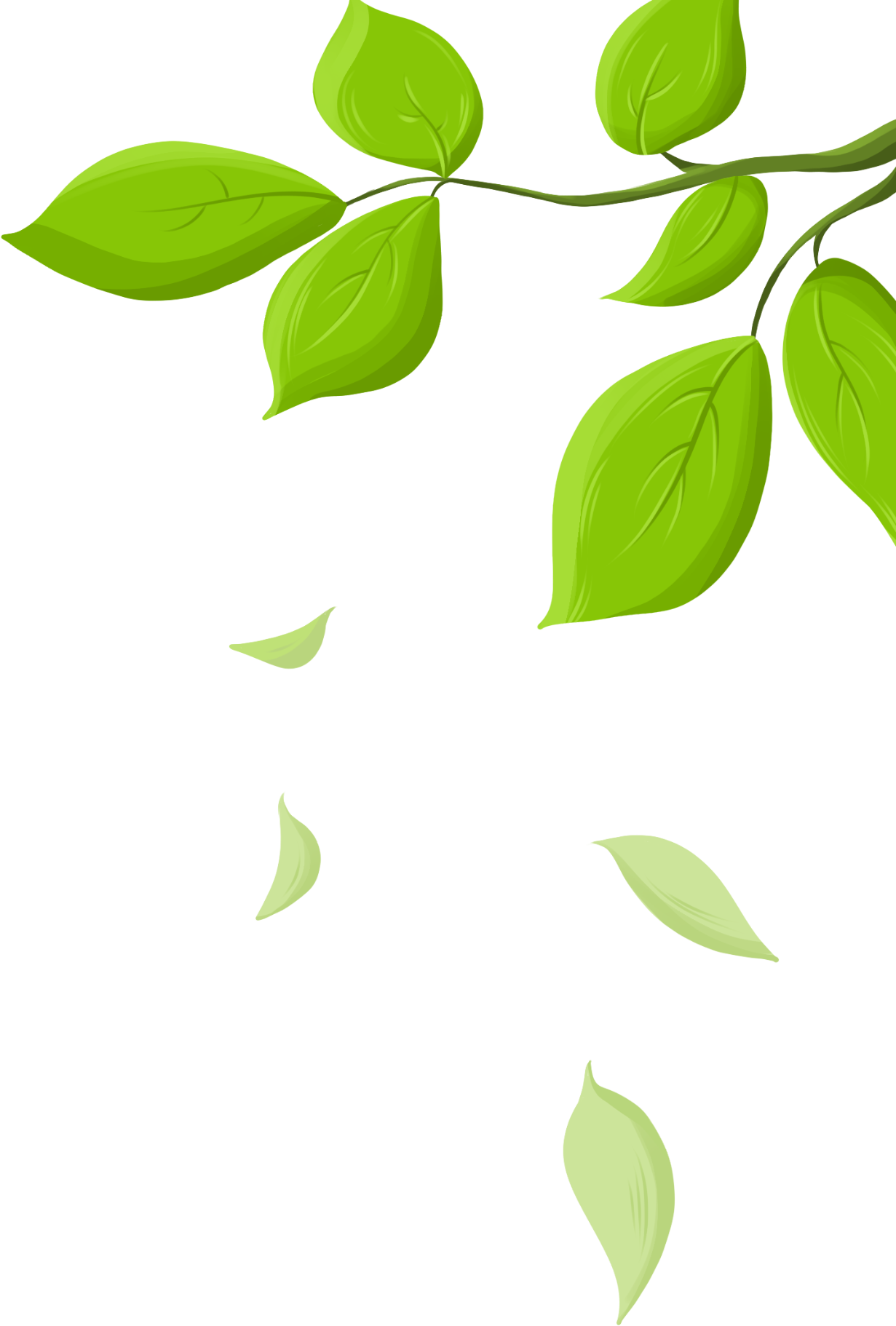 树枝图片素材免费下载制作技巧!