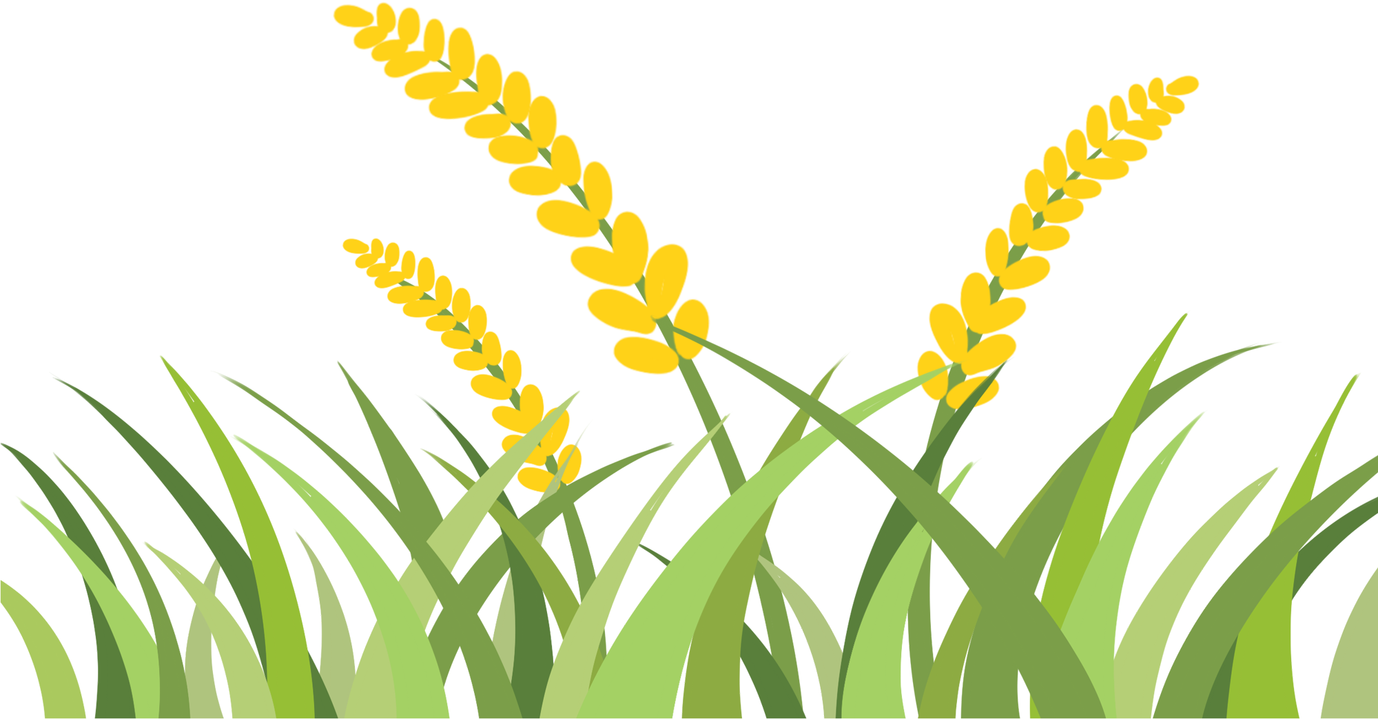 小麦田图片插画素材制作步骤!