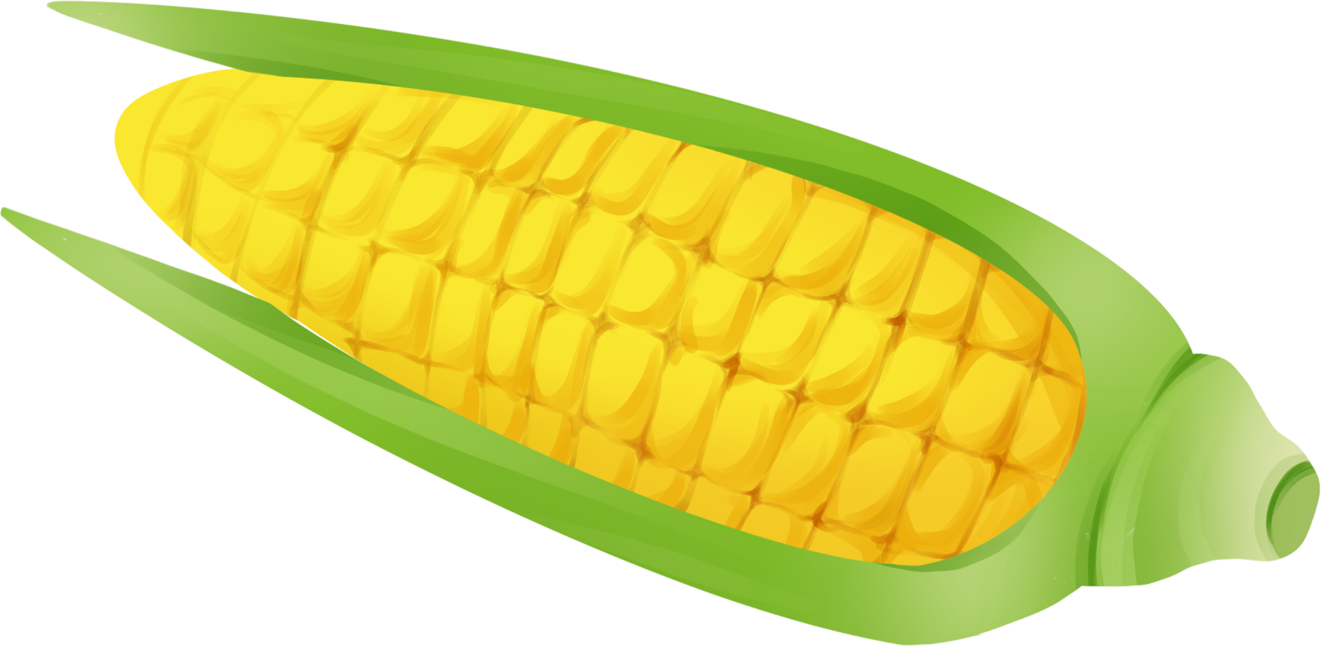 玉米图片素材模板如何制作?