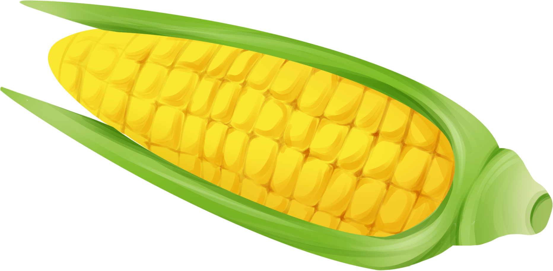 玉米图片素材模板如何制作?