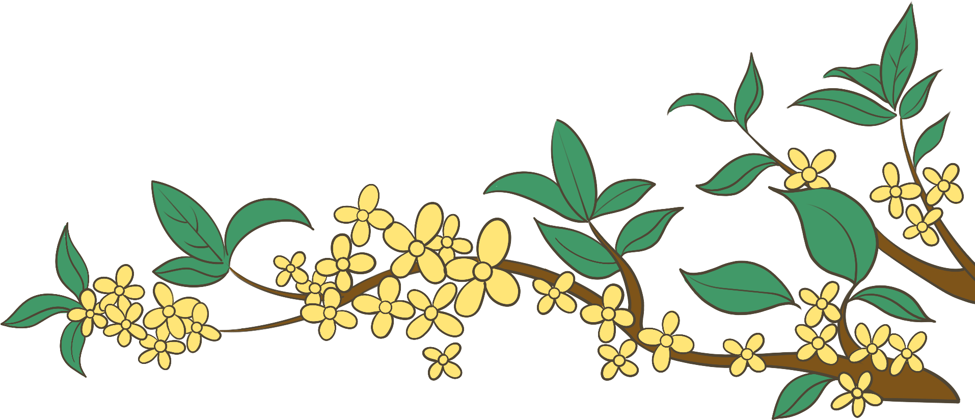 桂花枝图片大全制作步骤！