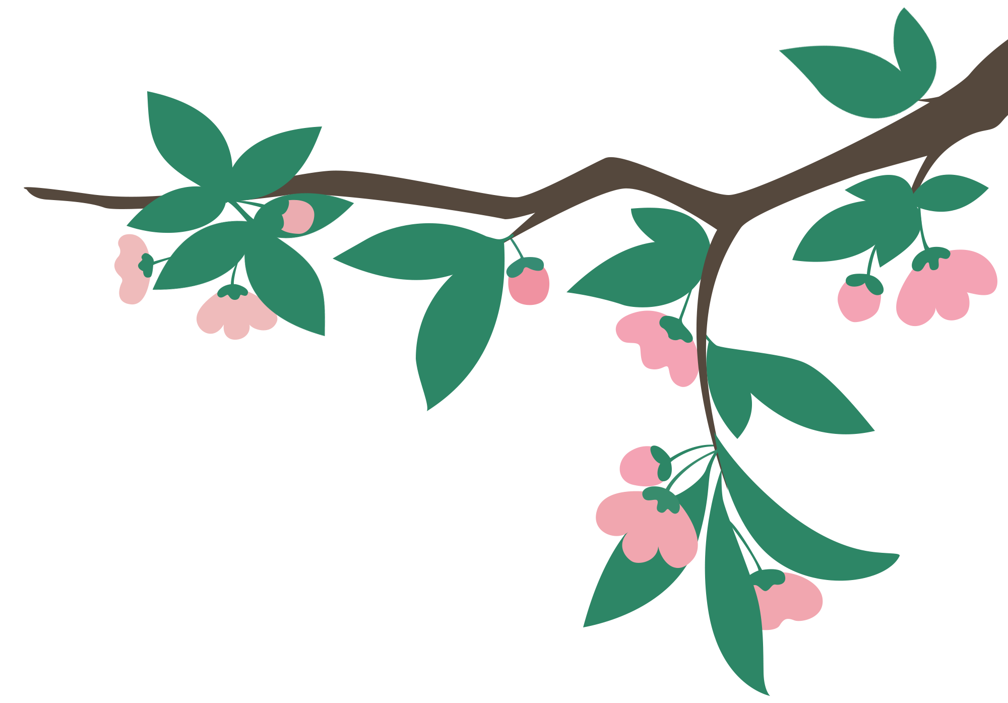 树枝插花作品图片大全如何画？