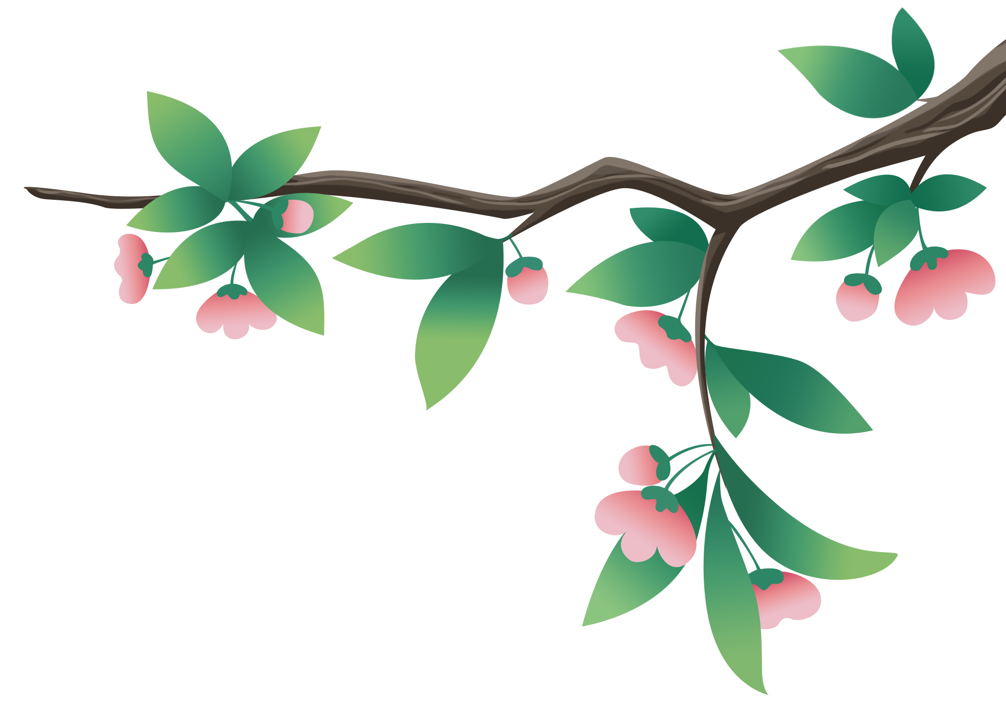 树枝插花作品图片大全如何画？