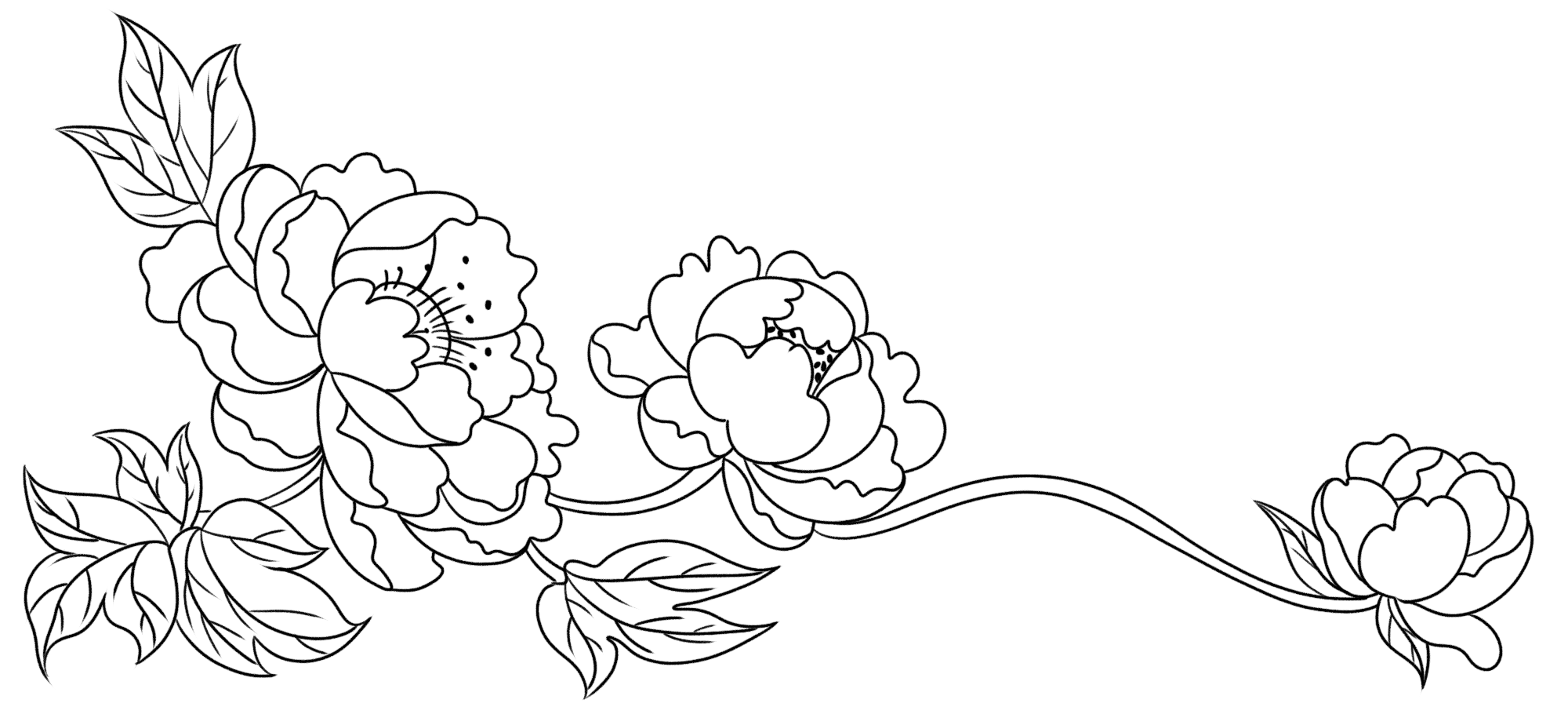 花边图片绘画大全制作方法!