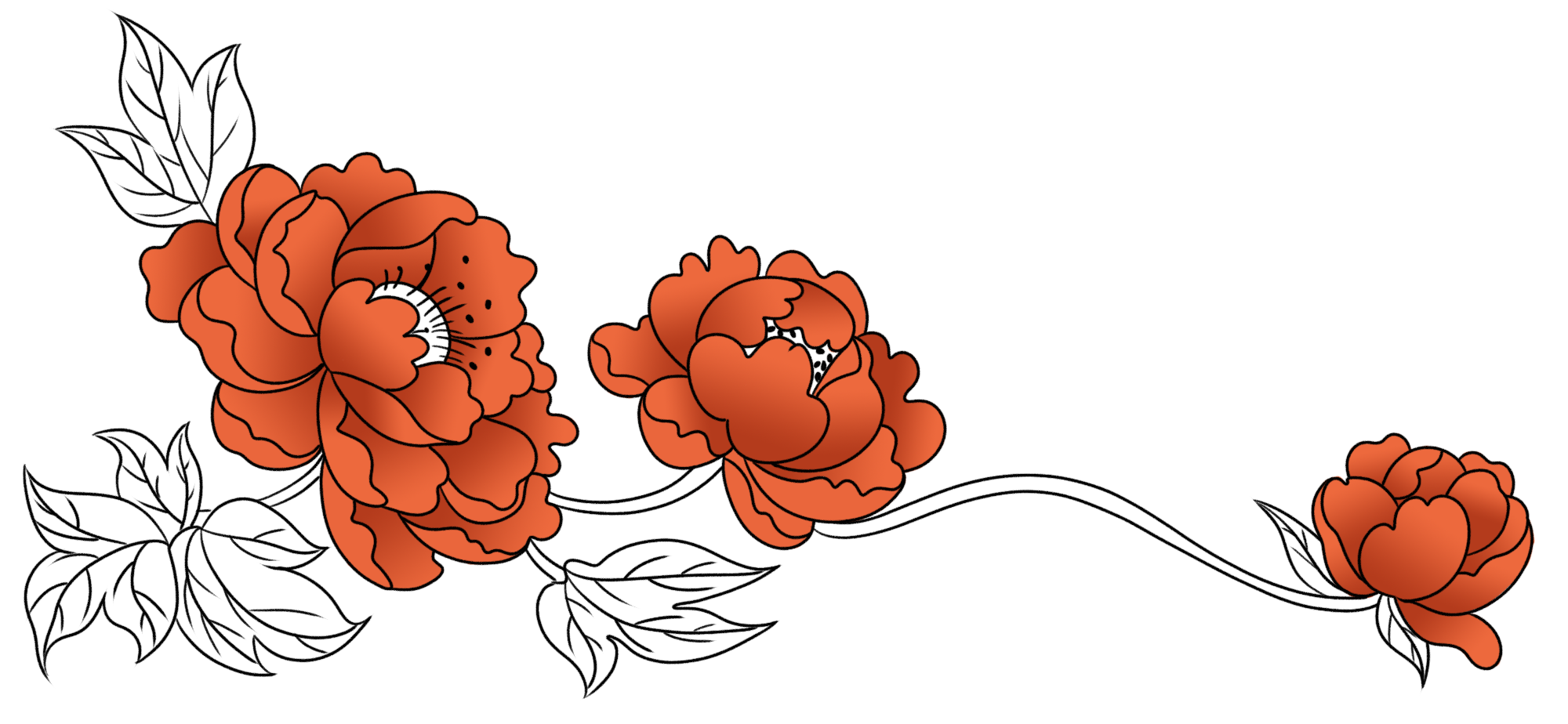 花边图片绘画大全制作方法!