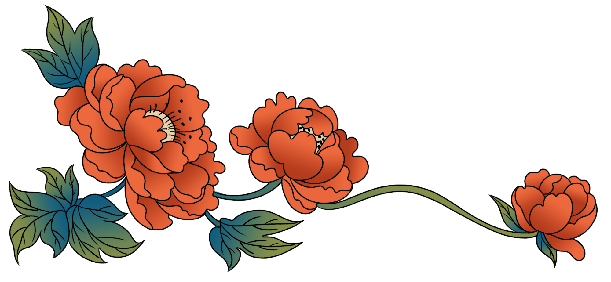 花边图片绘画大全制作方法!