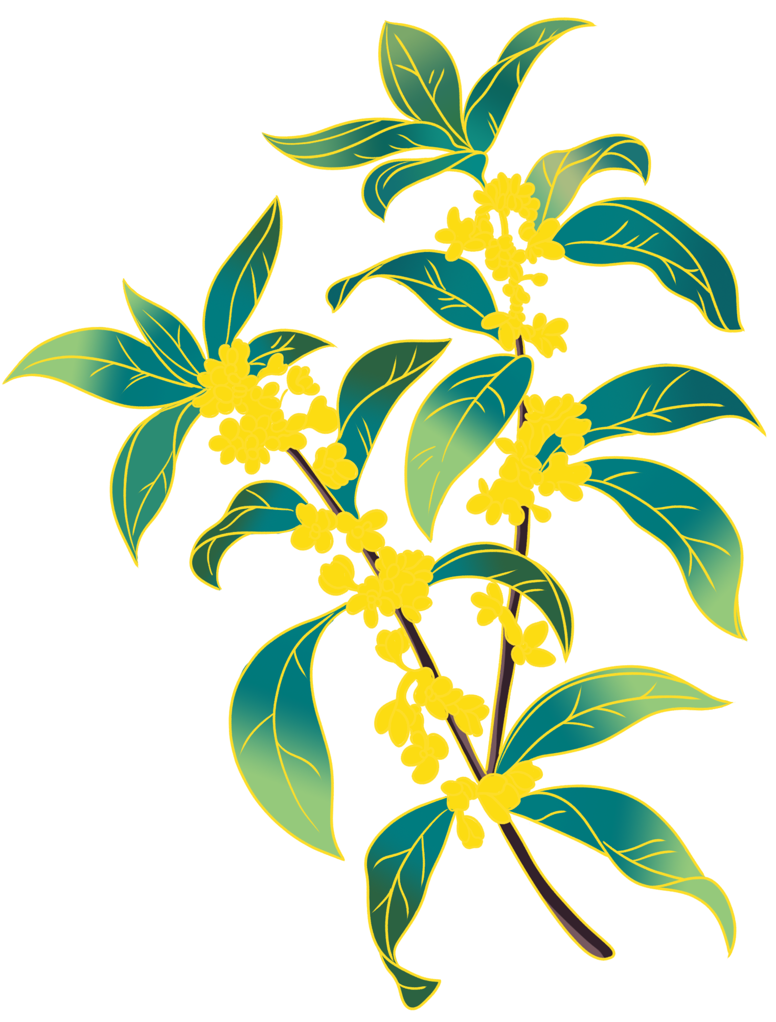 花绘画图片大全如何画？