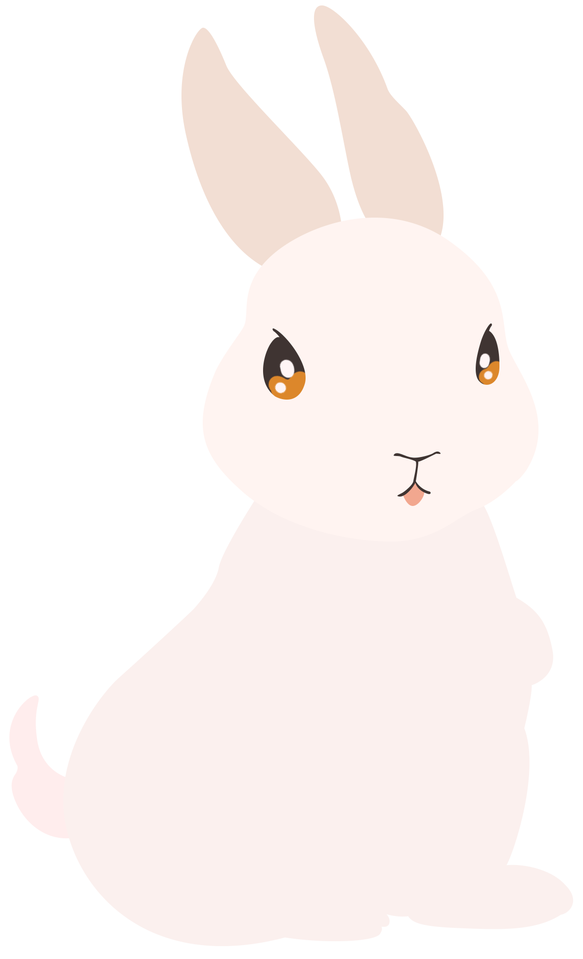 兔子绘画图片制作技巧！